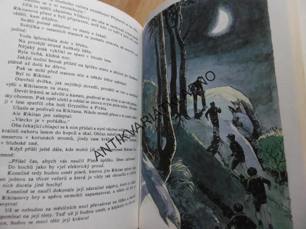 HOŠI OD BOBŘÍ ŘEKY, JAROSLAV FOGLAR, 1991 **an
