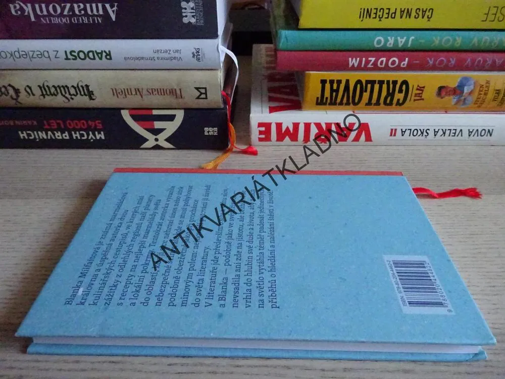 NEBÁT SE PŘÁT SI, BLANKA MILFAITOVÁ, **an