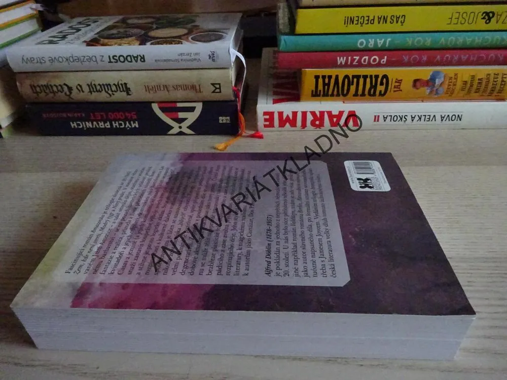 AMAZONKA, ALFRED DÖBLIN, **an