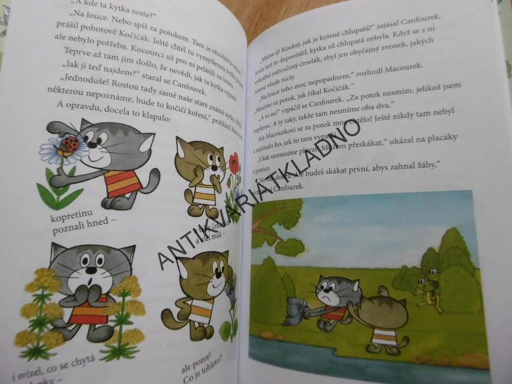 BYLA JEDNOU KOŤATA, ŠTÍPLOVÁ, VÁŇA, VEČERNÍČEK, **an
