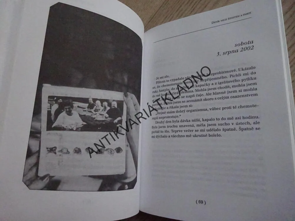 DENÍK MEZI ŽIVOTEM A SMRTÍ, MŮJ BOJ S RAKOVINOU, HELENA RŮŽIČKOVÁ, MARIE FORMÁČKOVÁ, **an