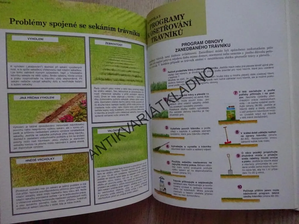 TRÁVNÍKY V ZAHRADĚ, D. G. HESSAYON, **an