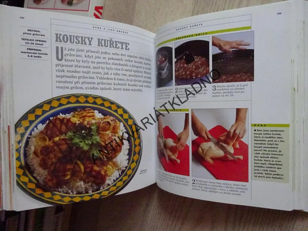 JAK GRILOVAT, STEVEN RAICHLEN, **an