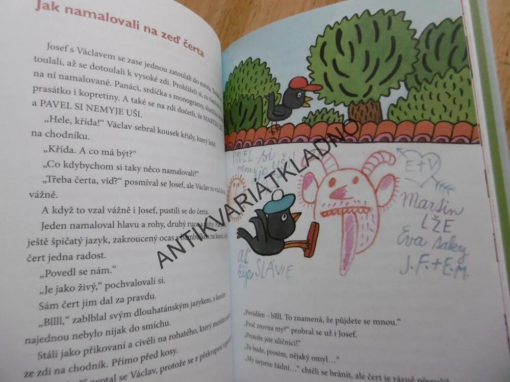 KOSÍ BRATŘI, STŘEDA, ŠEDIVÝ, VEČERNÍČEK, **an