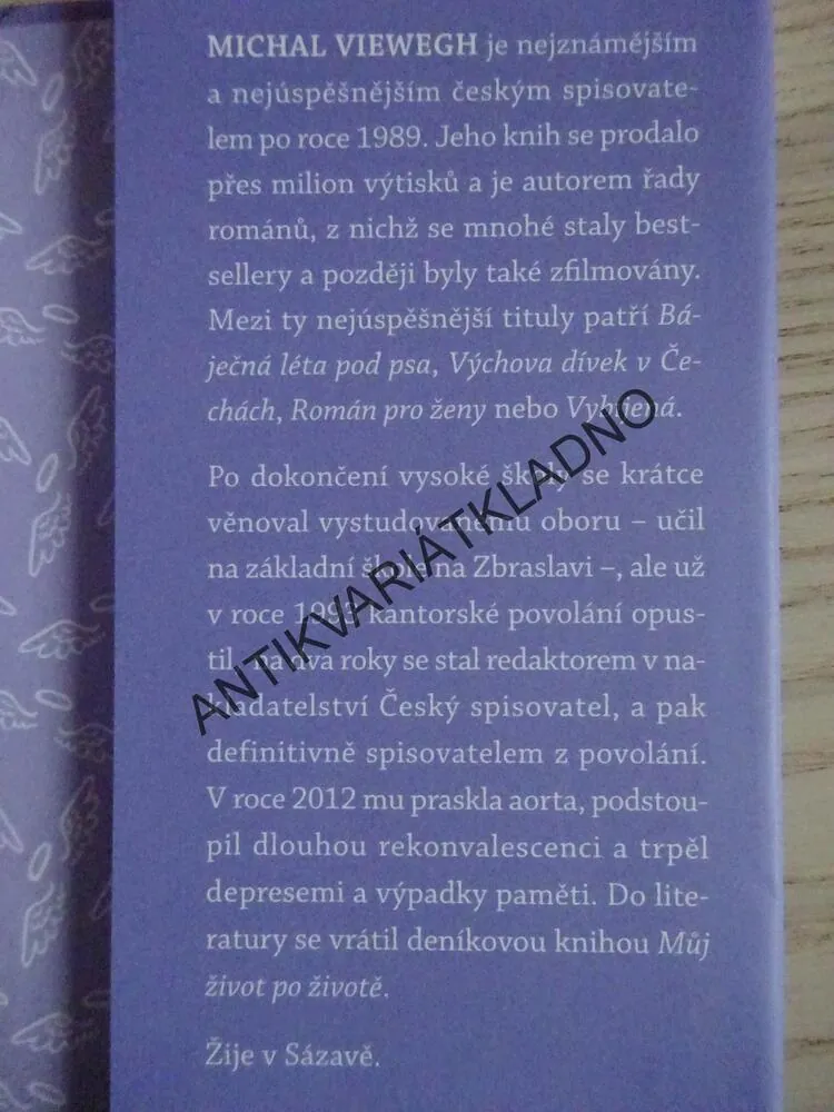ANDĚLÉ VŠEDNÍHO DNE, MICHAL VIEWEGH, **an