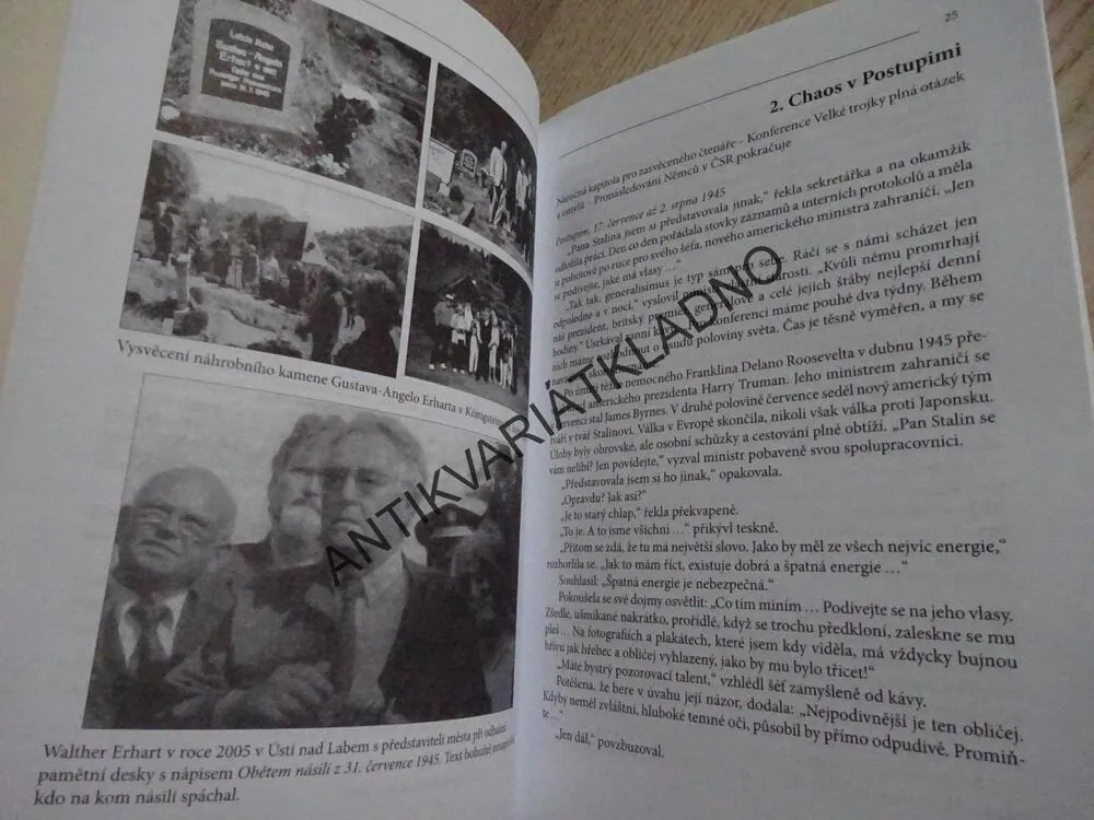 PYRRHOVO VÍTĚZSTVÍ EDVARDA BENEŠE, SIDONIA DĚDINOVÁ, **an
