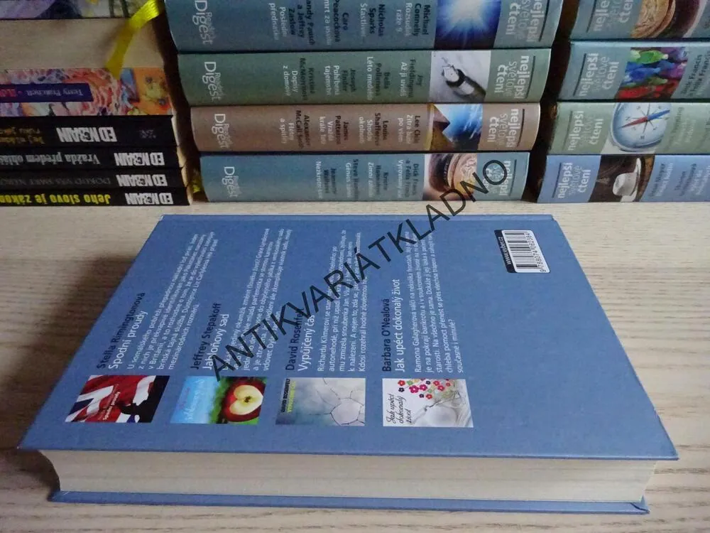 SPODNÍ PROUDY - RIMINGTONOVÁ, JABLOŇOVÝ SAD - STEPAKOFF, VYPŮJČENÝ ČAS - ROSENFELT, JAK UPÉCT DOKONALÝ ŽIVOT - O'NEALOVÁ, **an