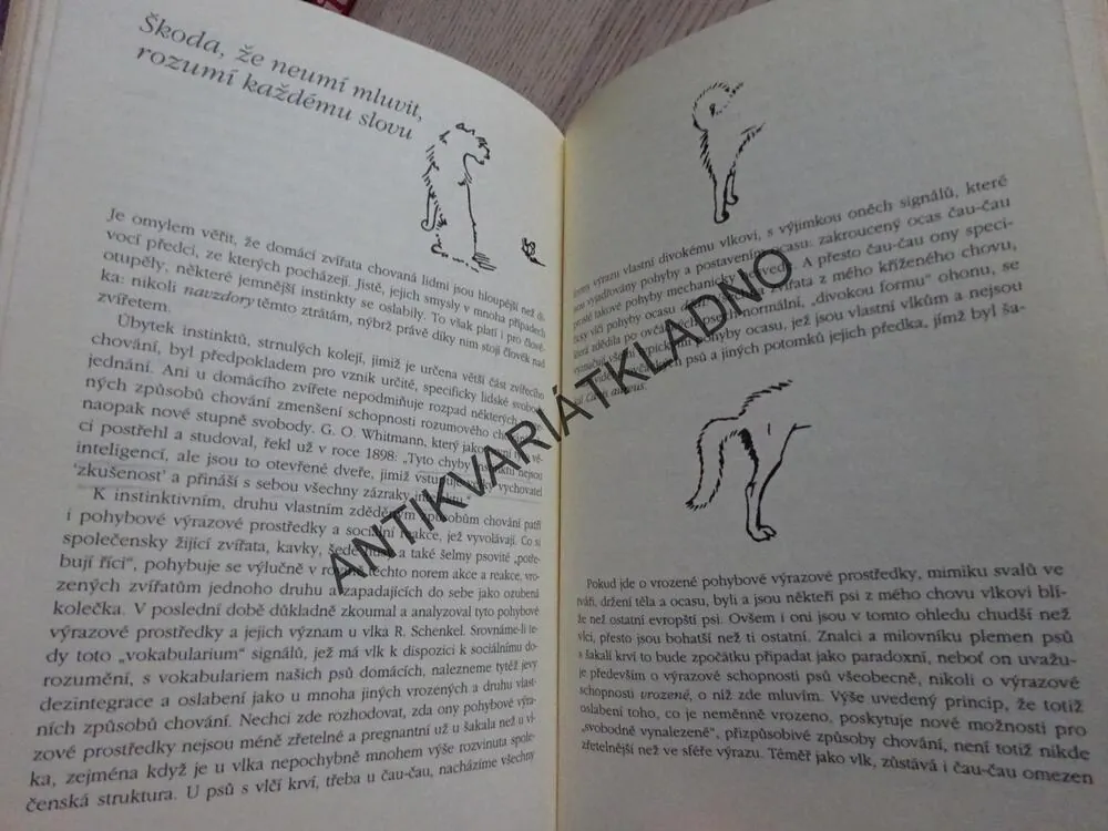 ŽIVOT SE PSEM NENÍ POD PSA, KONRAD LORENZ, **an