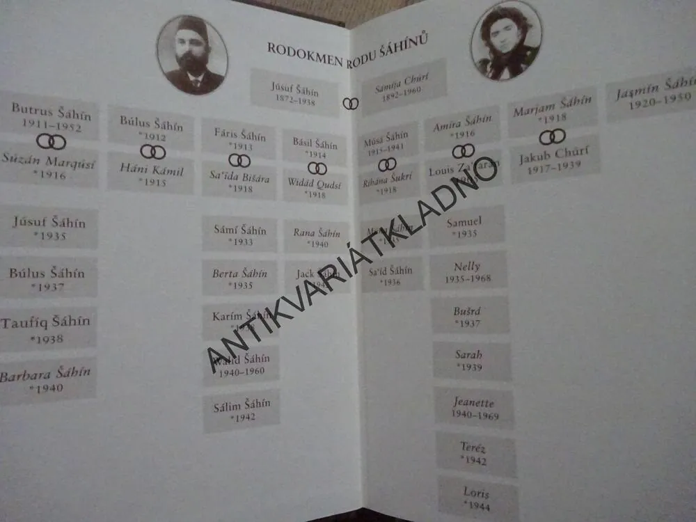 TEMNÁ STRANA LÁSKY, RAFÍQ ŠÁMÍ, **an