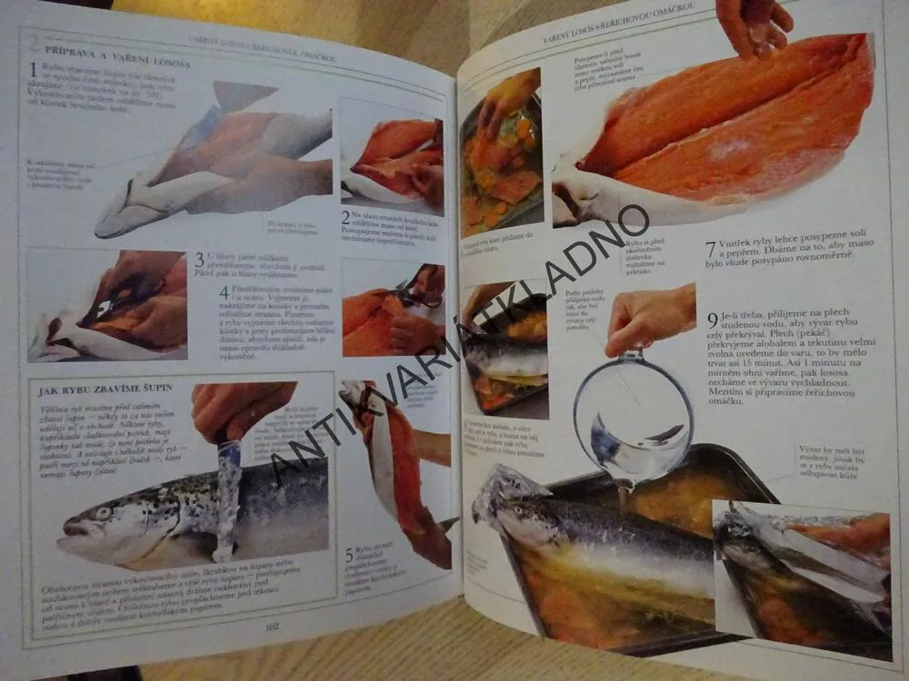 DÍVEJ SE A VAŘ, RYBY, ANNE WILLANOVÁ, **an