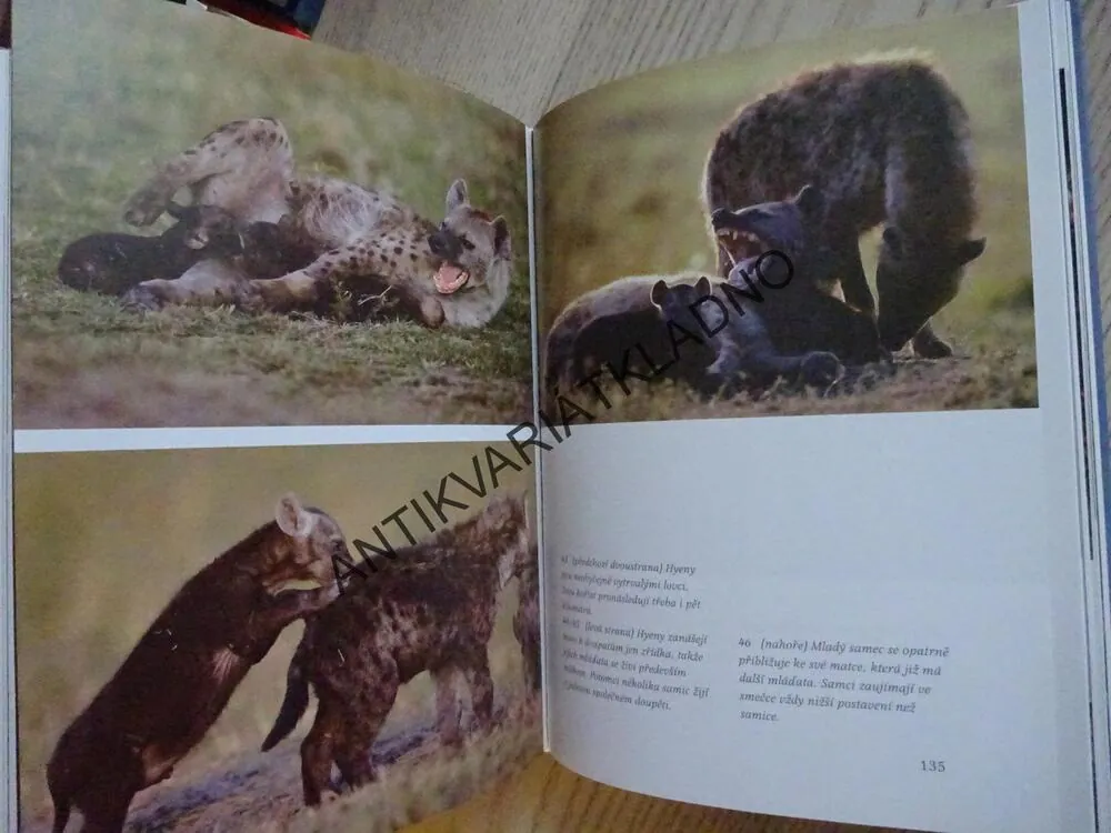 SERENGETI, POHLED DO AFRICKÉ DIVOČINY, REINHARD RADKE, **an
