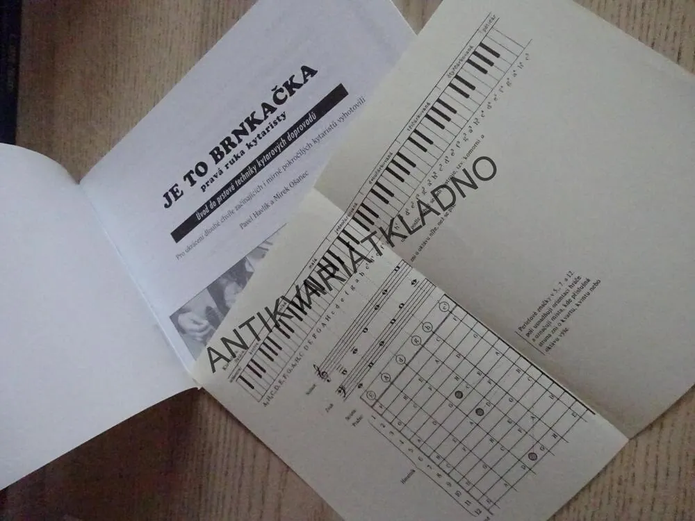 JE TO BRNKAČKA, PRAVÁ RUKA KYTARISTY