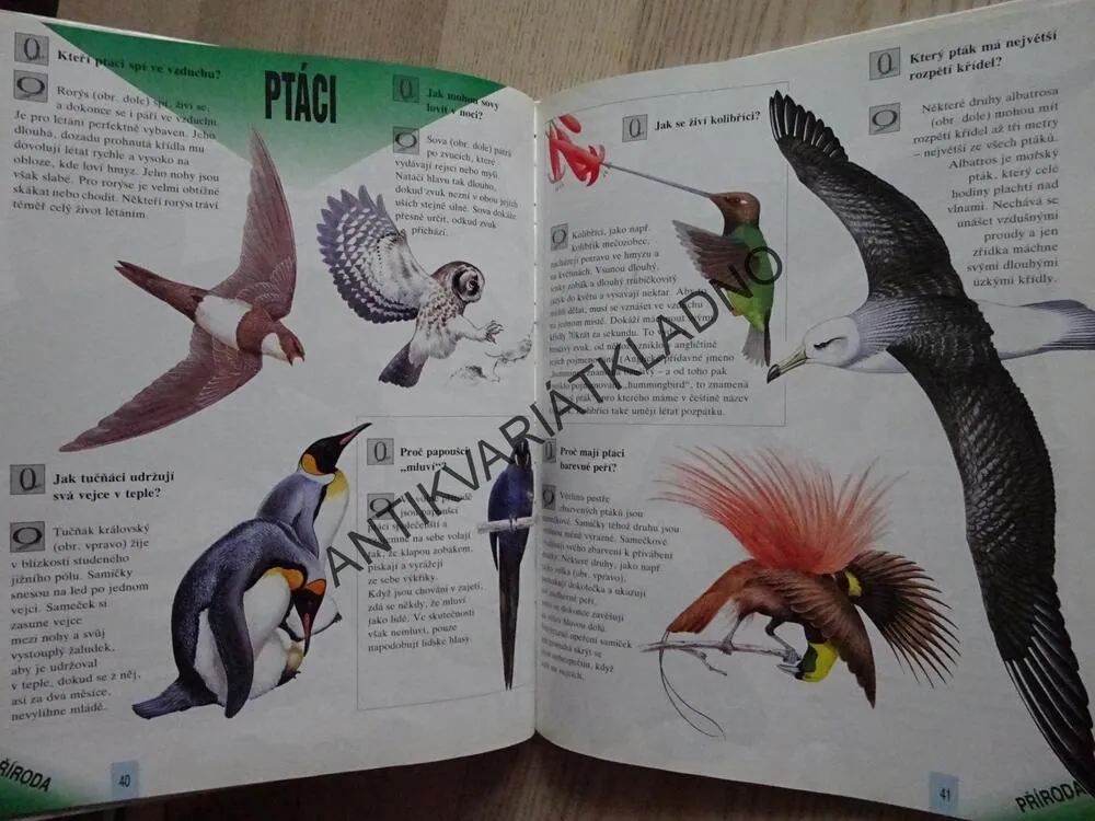 VELKÁ KNIHA OTÁZEK A ODPOVĚDÍ, **an