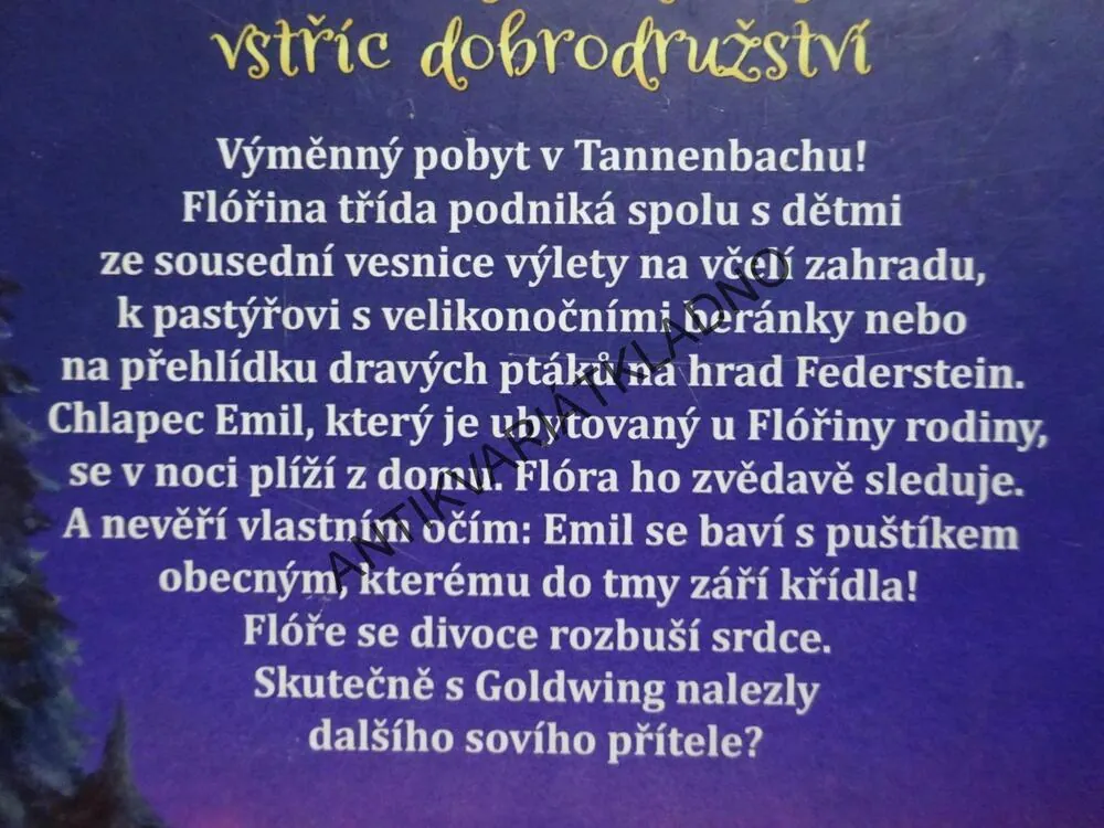 SOVÍ KOUZLO, NOVÝ KAMARÁD PRO GOLDWING, INA BRANDTOVÁ, **an