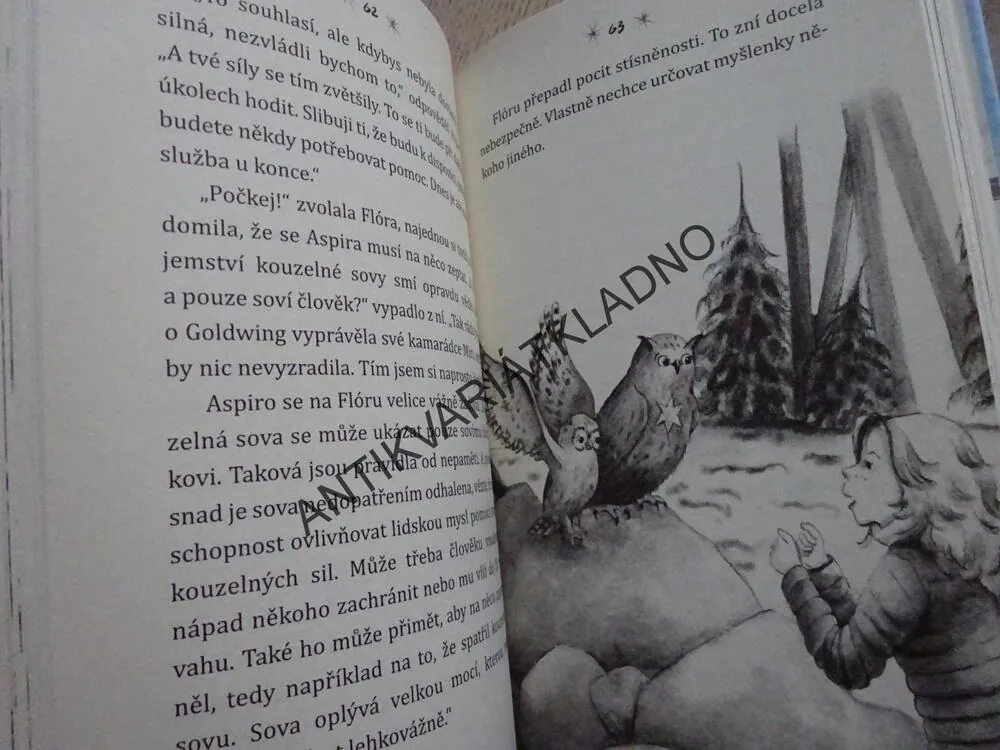 SOVÍ KOUZLO, ZÁHADA ZLATÉHO PÍRKA, INA BRANDTOVÁ, **an