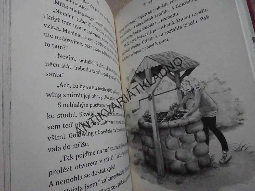 SOVÍ KOUZLO, TAJUPLNÝ DRAHOKAM, INA BRANDTOVÁ, **an