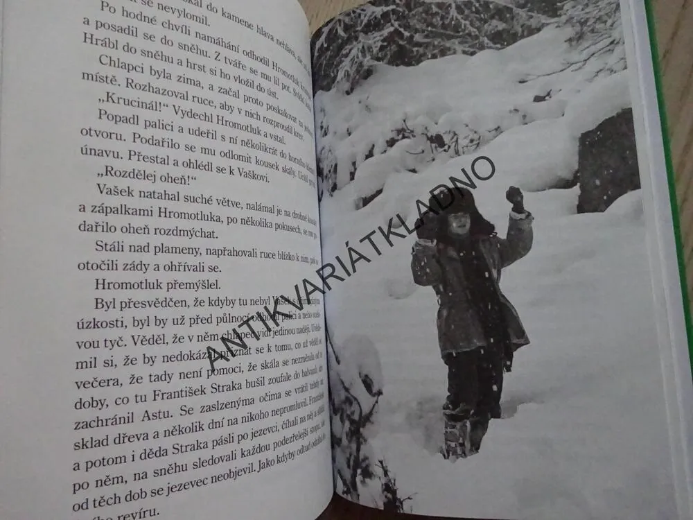 POD JEZEVČÍ SKÁLOU, JOSEF POHL, **an