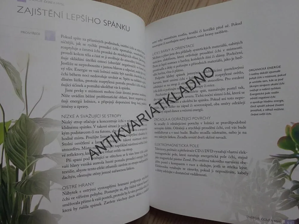 ČÍNSKÁ MEDICÍNA V PRAXI, SIMON G. BROWN, **an