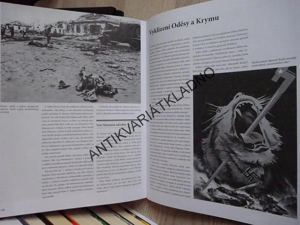 DRUHÁ SVĚTOVÁ VÁLKA, STALINGRAD A CO SE DĚLO POTÉ, Q. W. STAR BUSMANN, **an