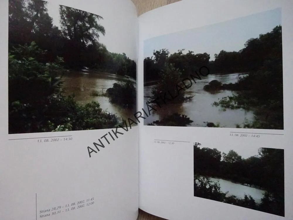 KRÁLOVSKÁ OBORA, STROMOVKA 2002, MERVYN STERNECK, **an