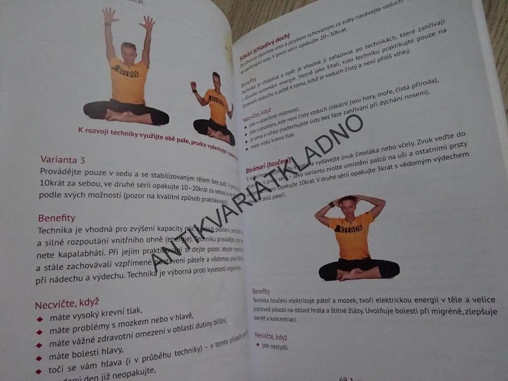 JÓGA, DECH A MEDITACE, VÁCLAV KREJČÍK, **an