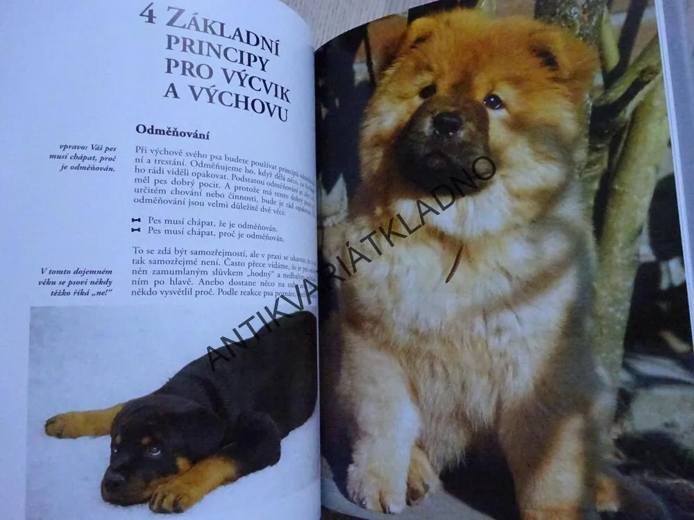 VÝCHOVA ŠTĚNĚTE, ESTHER VERHOEF-VERHALLENOVÁ, **an