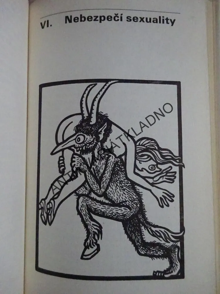 ŽENSKÉ OTAZNÍKY, RADIM UZEL, **an