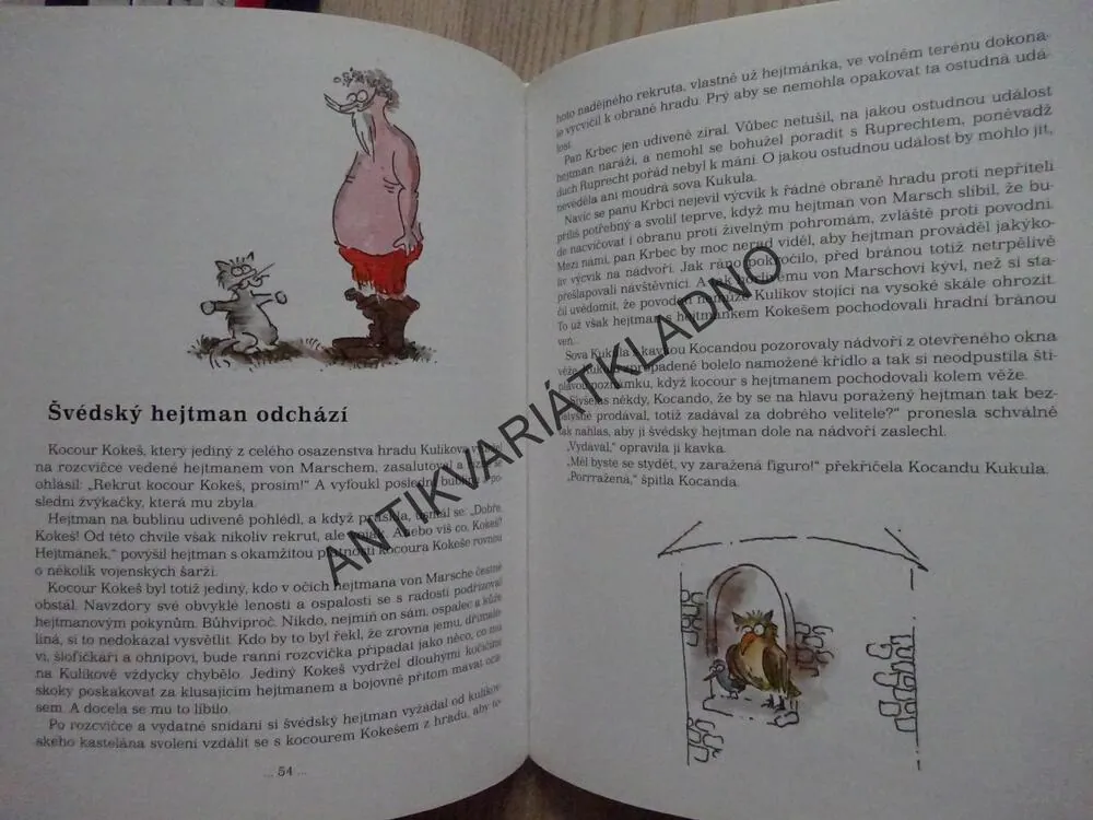 STRAŠIDLA NA KULÍKOVĚ, PETR CHVOJKA, STANISLAV HAVELKA, **an