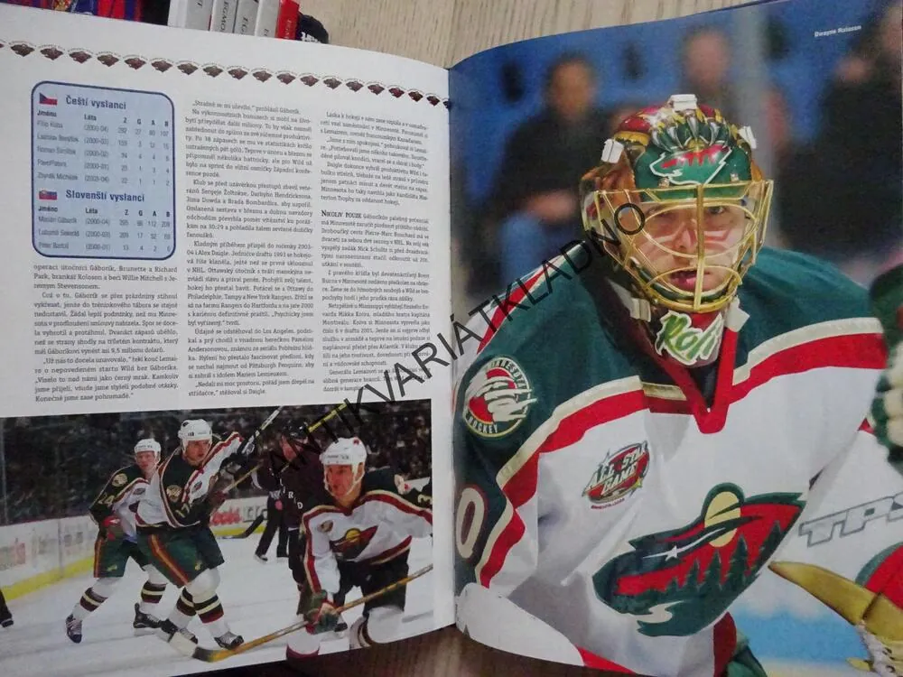 KLUBY NHL 2005, KAREL KNAP, LEDNÍ HOKEJ, **an