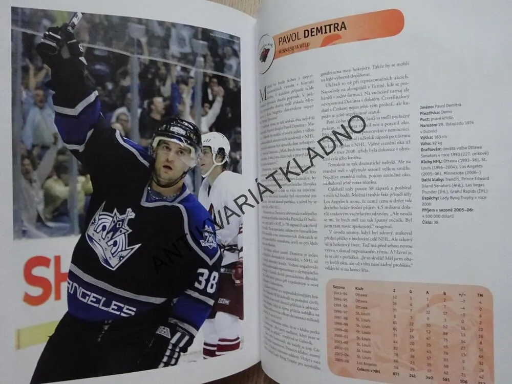 HVĚZDY NHL 2007, ČEŠI A SLOVÁCI V SEZONĚ 2005-06, LEDNÍ HOKEJ, **an