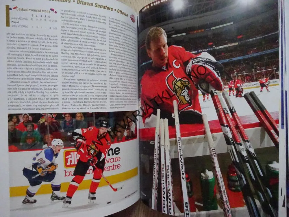 KLUBY NHL 2009, LUBOŠ BRABEC, LEDNÍ HOKEJ, **an