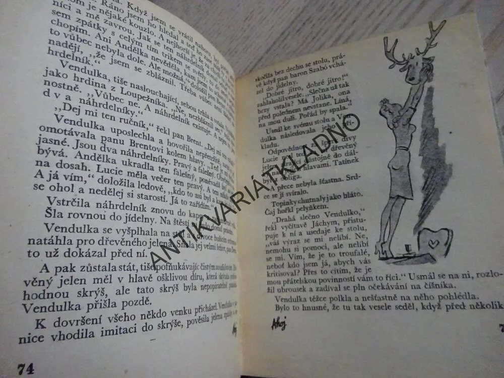 POZOR ZÁZRAČNÉ DÍTĚ, FAN VAVŘINCOVÁ, **an