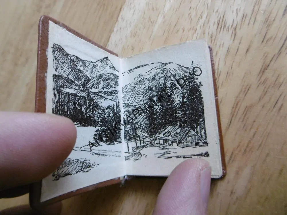 KRAKONOŠŮV HERBÁŘ, MINI KNÍŽEČKA, KVĚTINY, BLAŽKOVÁ,PULEC,1966