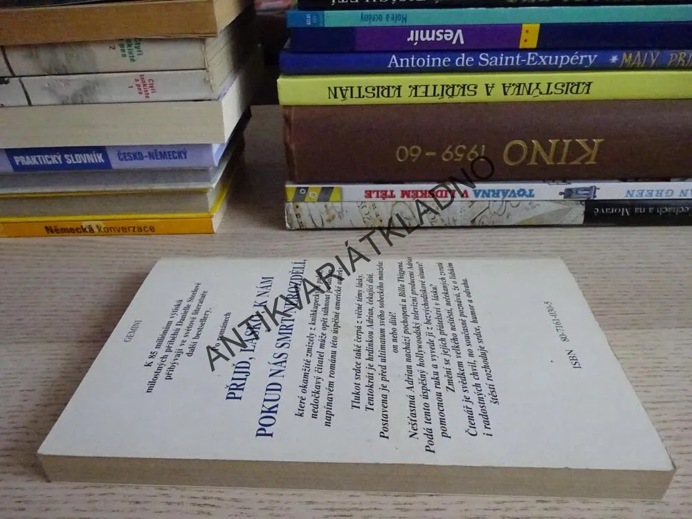 TLUKOT SRDCE, DANIELLE STEELOVÁ, **an