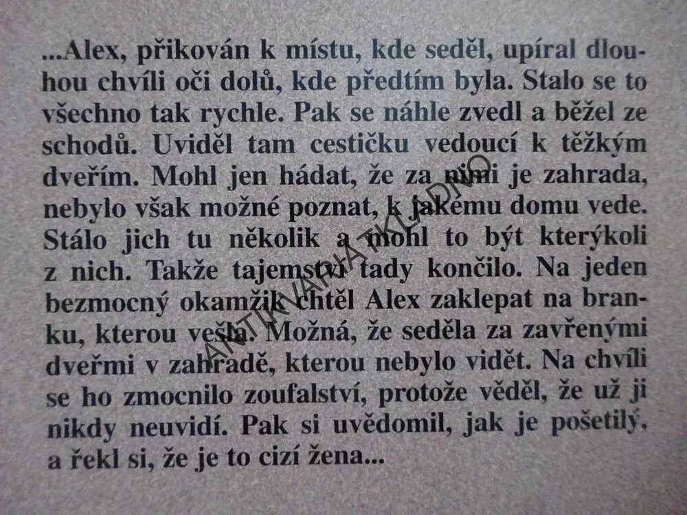 CIZÍ ŽENA, DANIELLE STEELOVÁ, **an