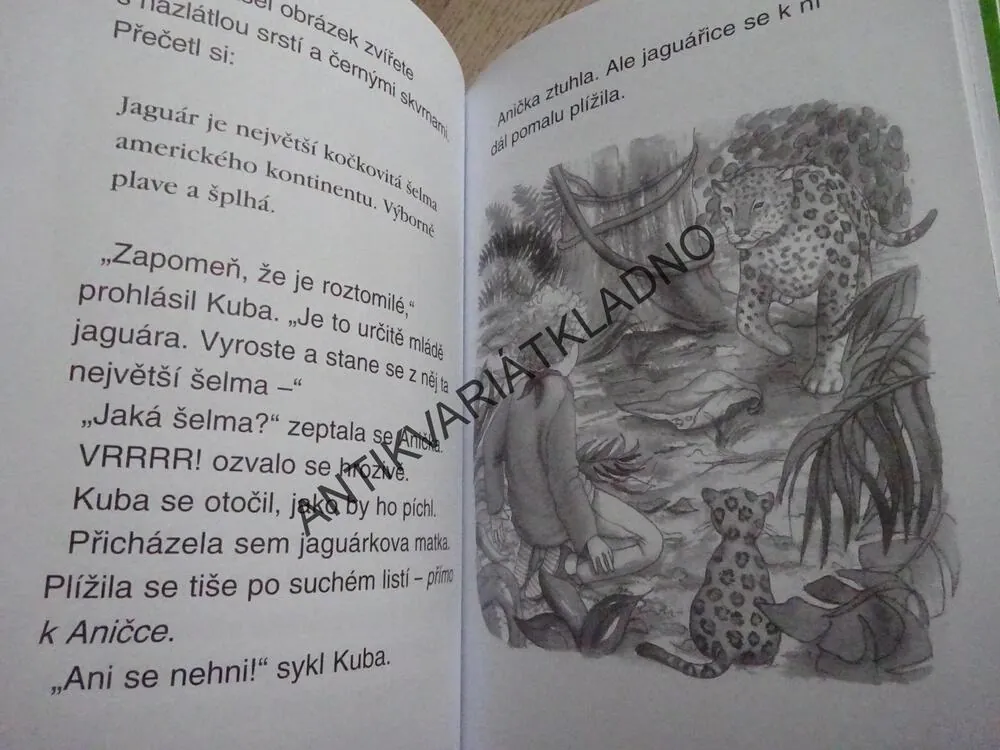 DOBRODRUŽSTVÍ V PRALESE, MARY POPE OSBORNOVÁ, **an