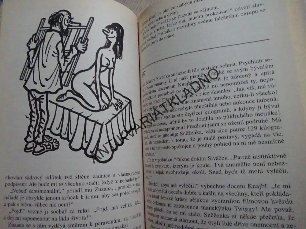 MOŘSKÝ VLK A VESELÁ VDOVA ANEB PROTI VŠEM, MILOSLAV ŠVANDRLÍK, **an