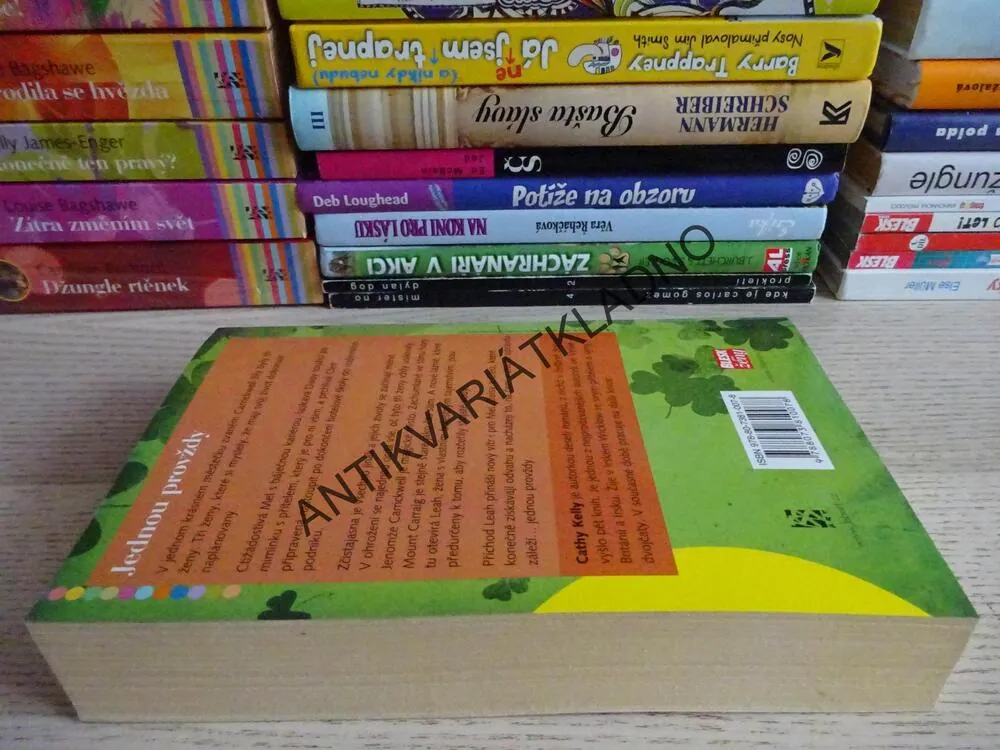 JEDNOU PROVŽDY, CATHY KELLY, **an