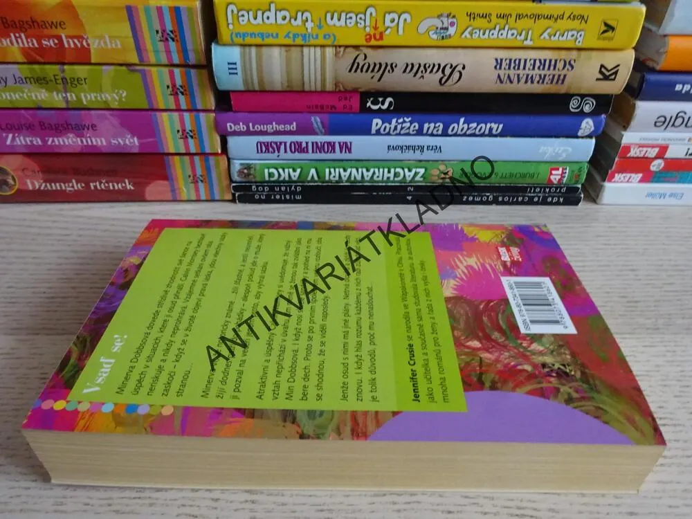 VSAĎ SE!, JENNIFER CRUSIE, **an