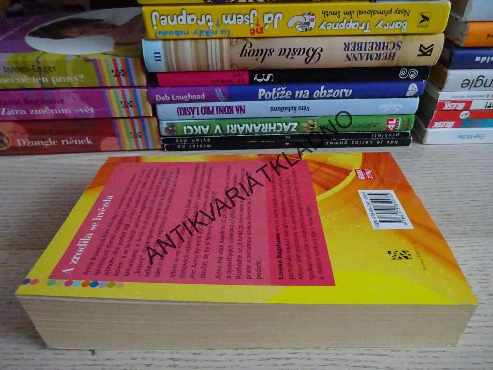 A ZRODILA SE HVĚZDA, LOUISE BAGSHAWE, **an