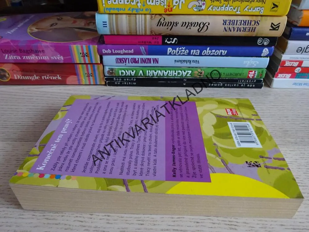 KONEČNĚ TEN PRAVÝ?, KELLY JAMES-ENGER, **an
