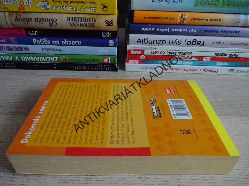 DOKONALÁ SESTRA, DONNA HAY, **an