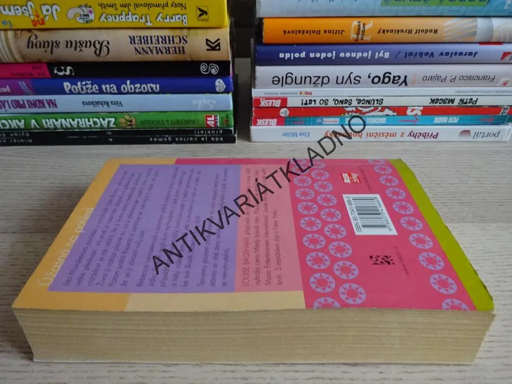 ÚŽASNÁ NA POHLED, LOUISE BAGSHAWE, **an