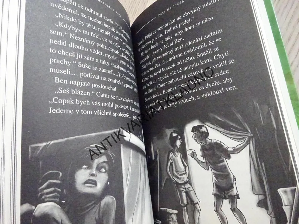 ZÁCHRANÁŘI V AKCI, J. BURCHETT, S. VOGLER, **an