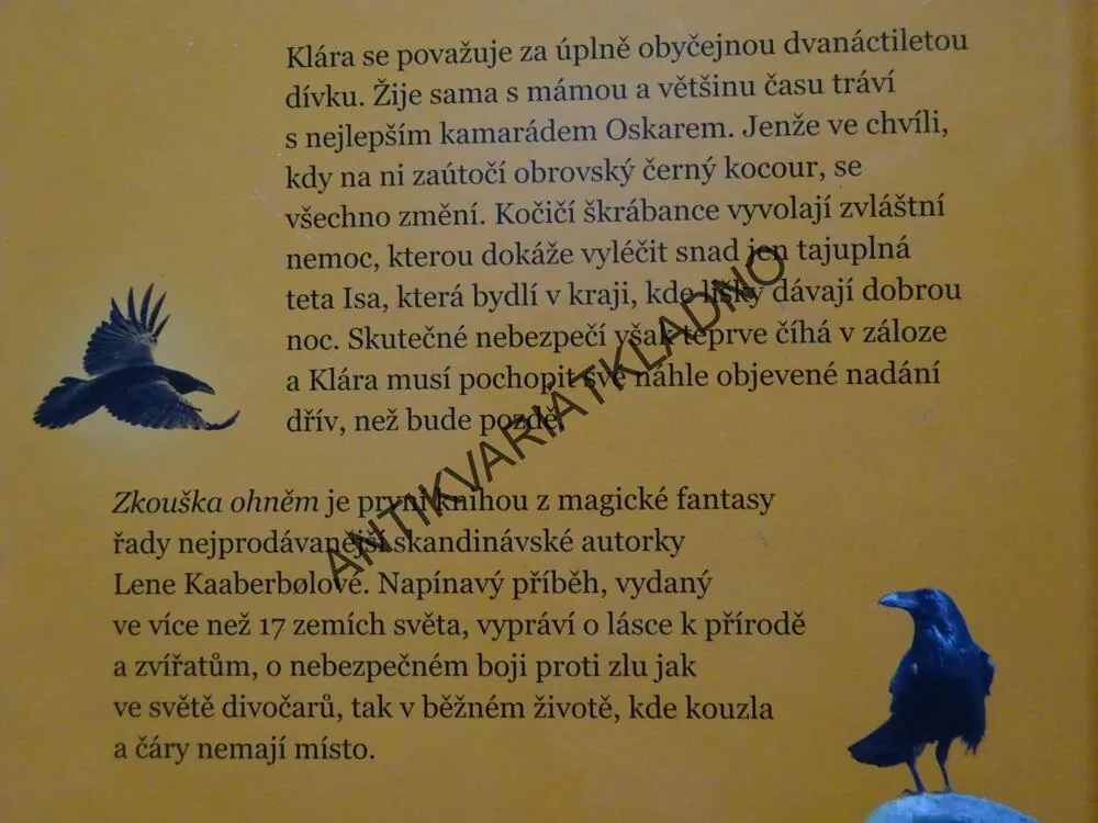 DIVOČARKA, ZKOUŠKA OHNĚM, LENE KAABERBOLOVÁ, **an