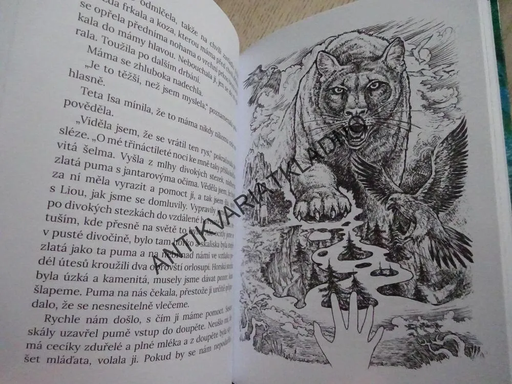 DIVOČARKA, DCERA KRVE, LENE KAABERBOLOVÁ, **an