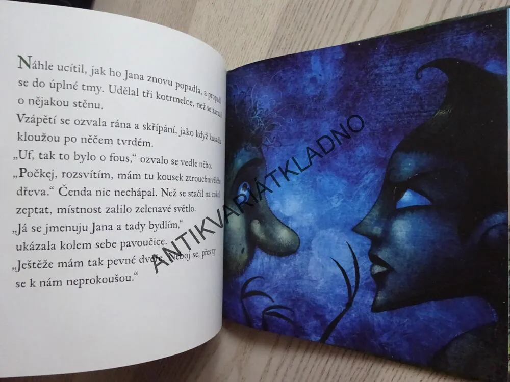 2. DOBRODRUŽSTVÍ PAVOUKA ČENDY, PAVEL ČECH, **an