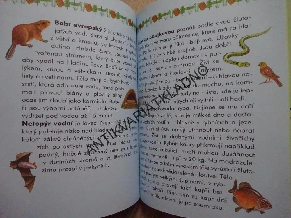ZVÍŘÁTKA KOLEM NÁS, ČTENÍ O ZVÍŘÁTKÁCH S VELKÝMI PÍSMENY, **an