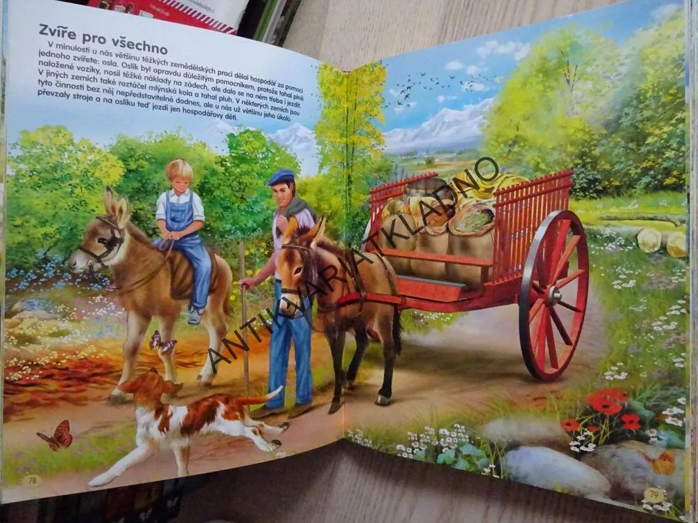 JAK SE ŽIJE NA STATKU, DĚTSKÝ ILUSTROVANÝ PRŮVODCE, **an