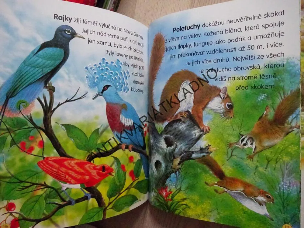 VELKÁ KNIHA, ZVÍŘATA CELÉHO SVĚTA, **an